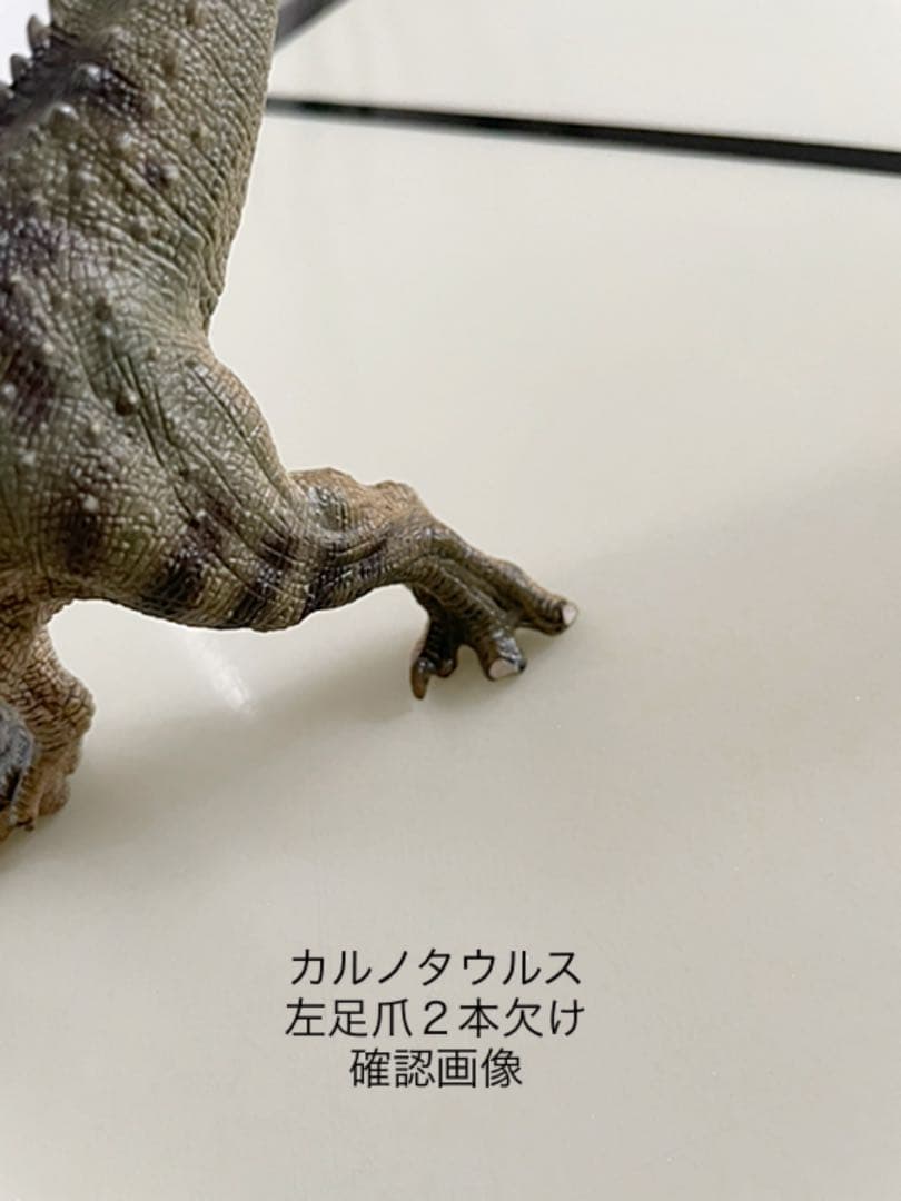 最終値下げ‼️【Schleich & PAPO】シュライヒ&パポ社 恐竜 9点+1