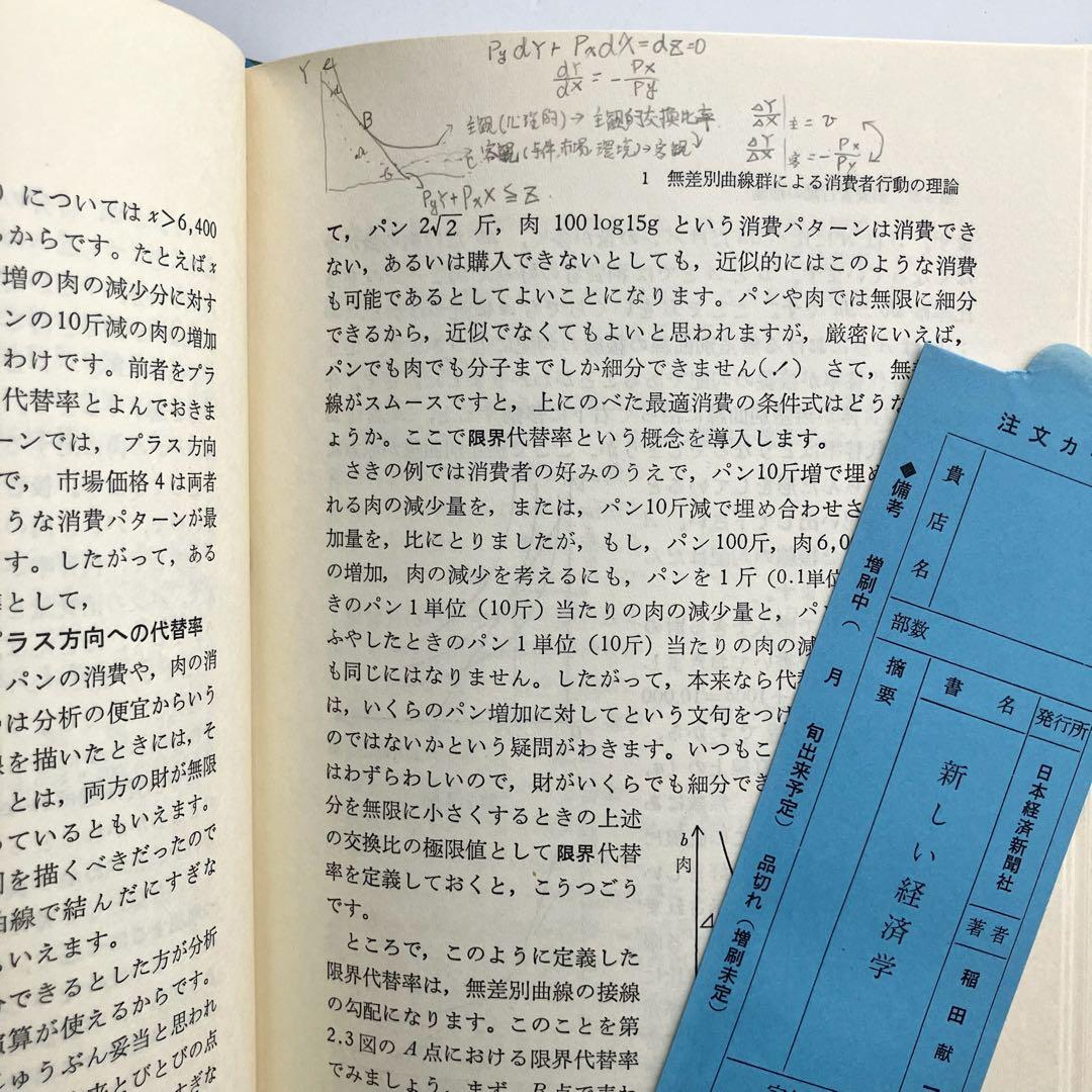 新しい経済学　ビジョンと実証　稲田献一　日本経済新聞社　古本　古書