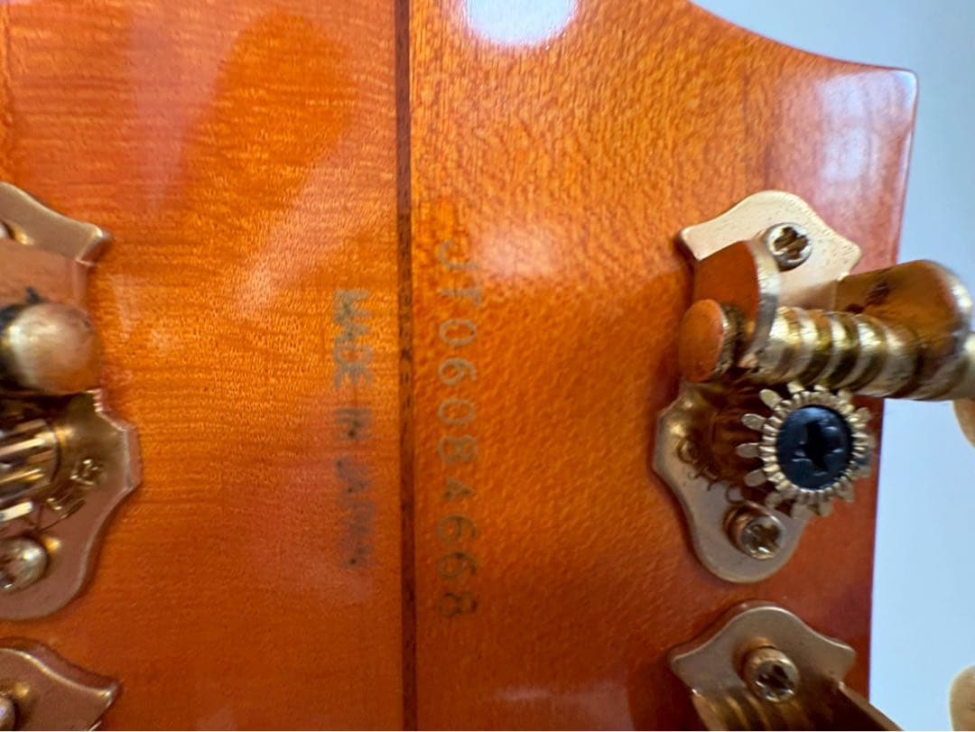 ギター Gretsch G6120W-1957