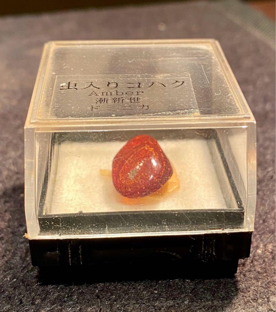ジェラシックパークの初期作品を思い出す！虫入り琥珀！蚊のような昆虫が入っています