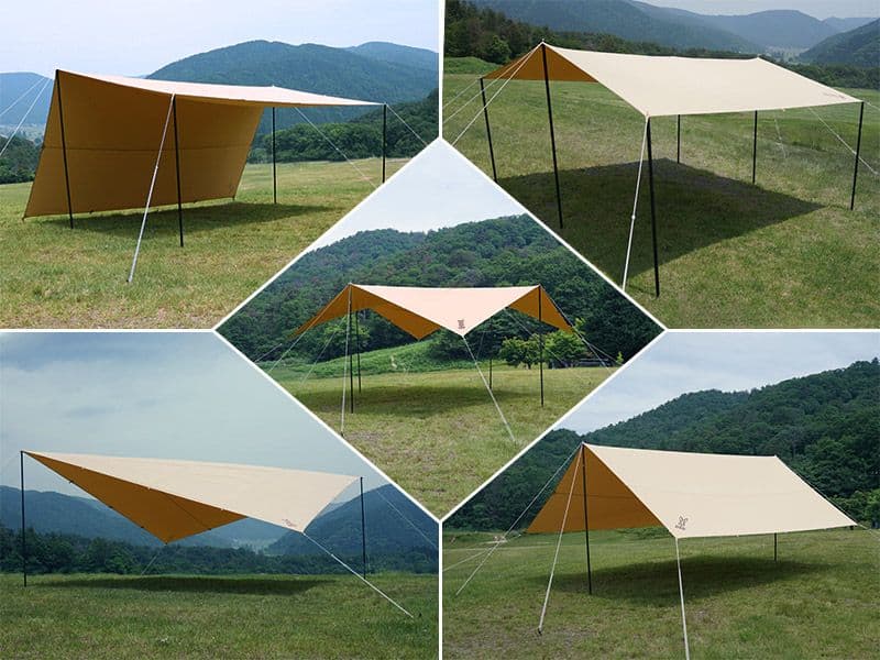 【未開封・新品】チーズタープM (タン)