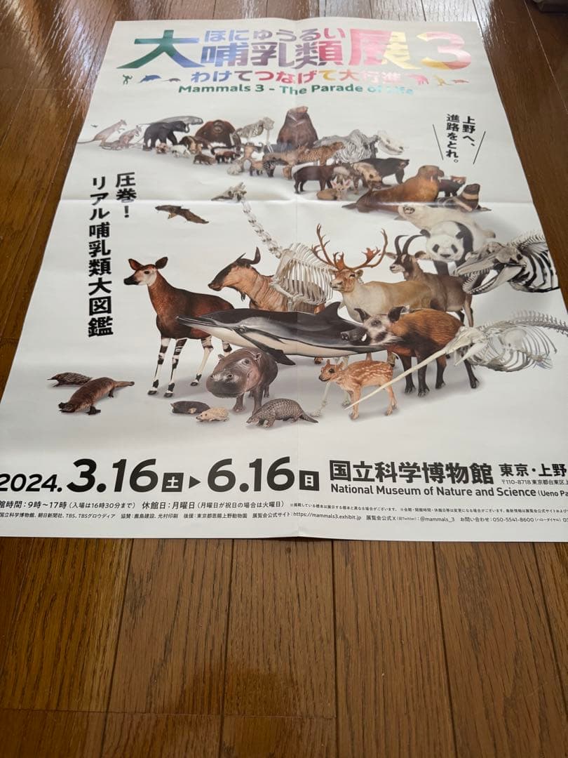 美品　大哺乳類展3 告知ポスター　カラー版