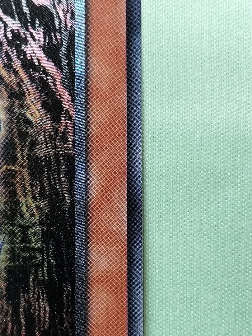 １軍コ『とても極美品』ダークネクロフィア　レリーフ