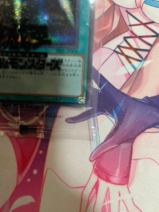 光の護封剣 ブルシク