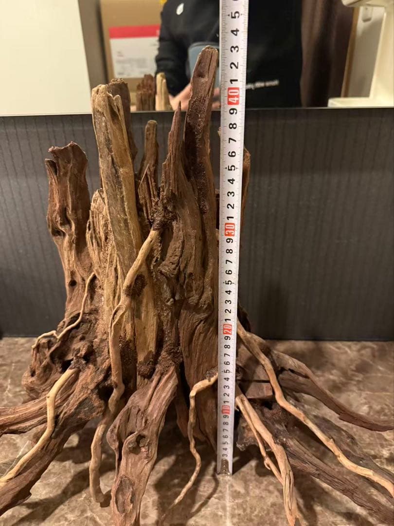 水槽用流木 自然な形状 約120cm