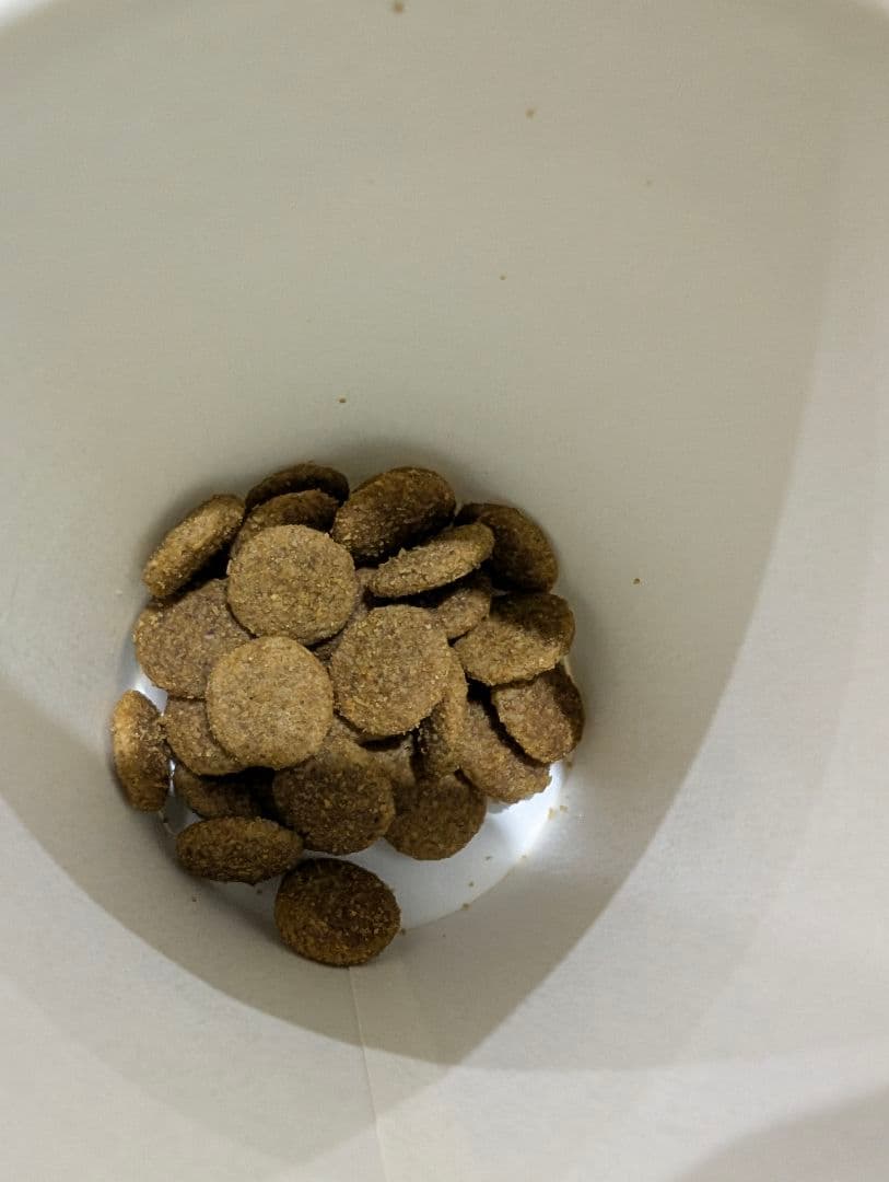【大容量】ファーストチョイス　成犬用ドライフード 18kg