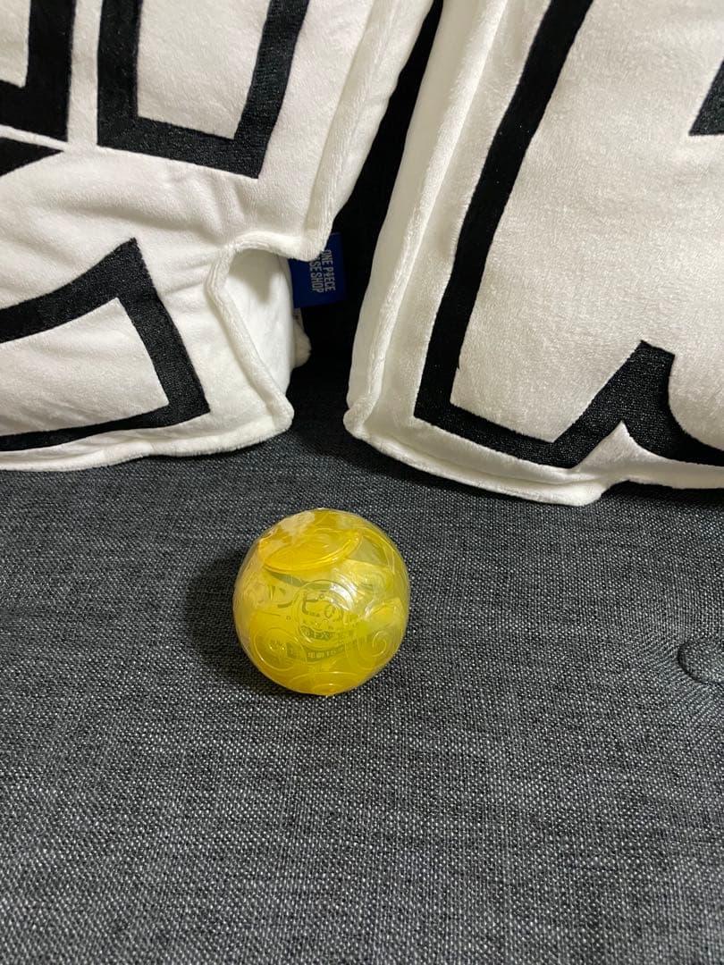 ワンピの実　20個セット