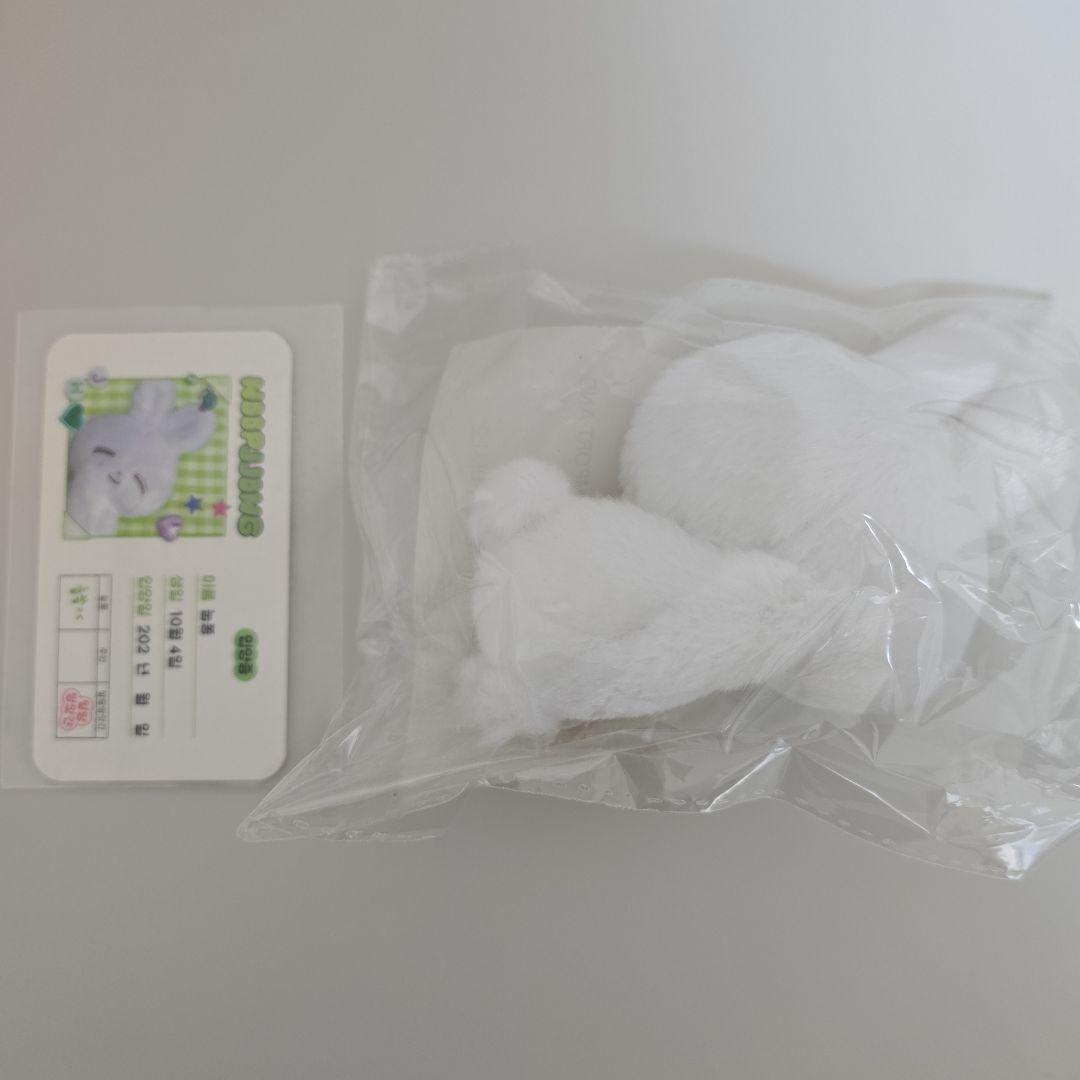 葵