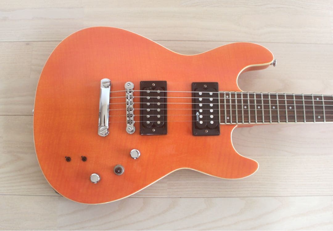 Fernandes APG-55S サスティナー搭載