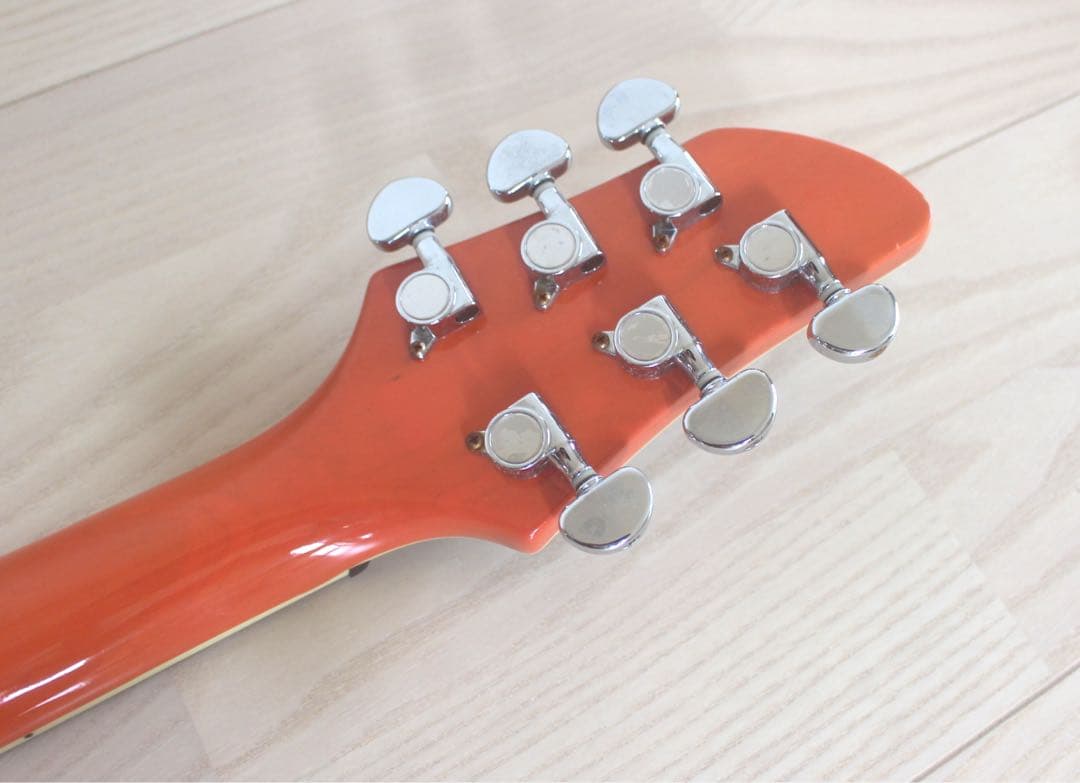 Fernandes APG-55S サスティナー搭載