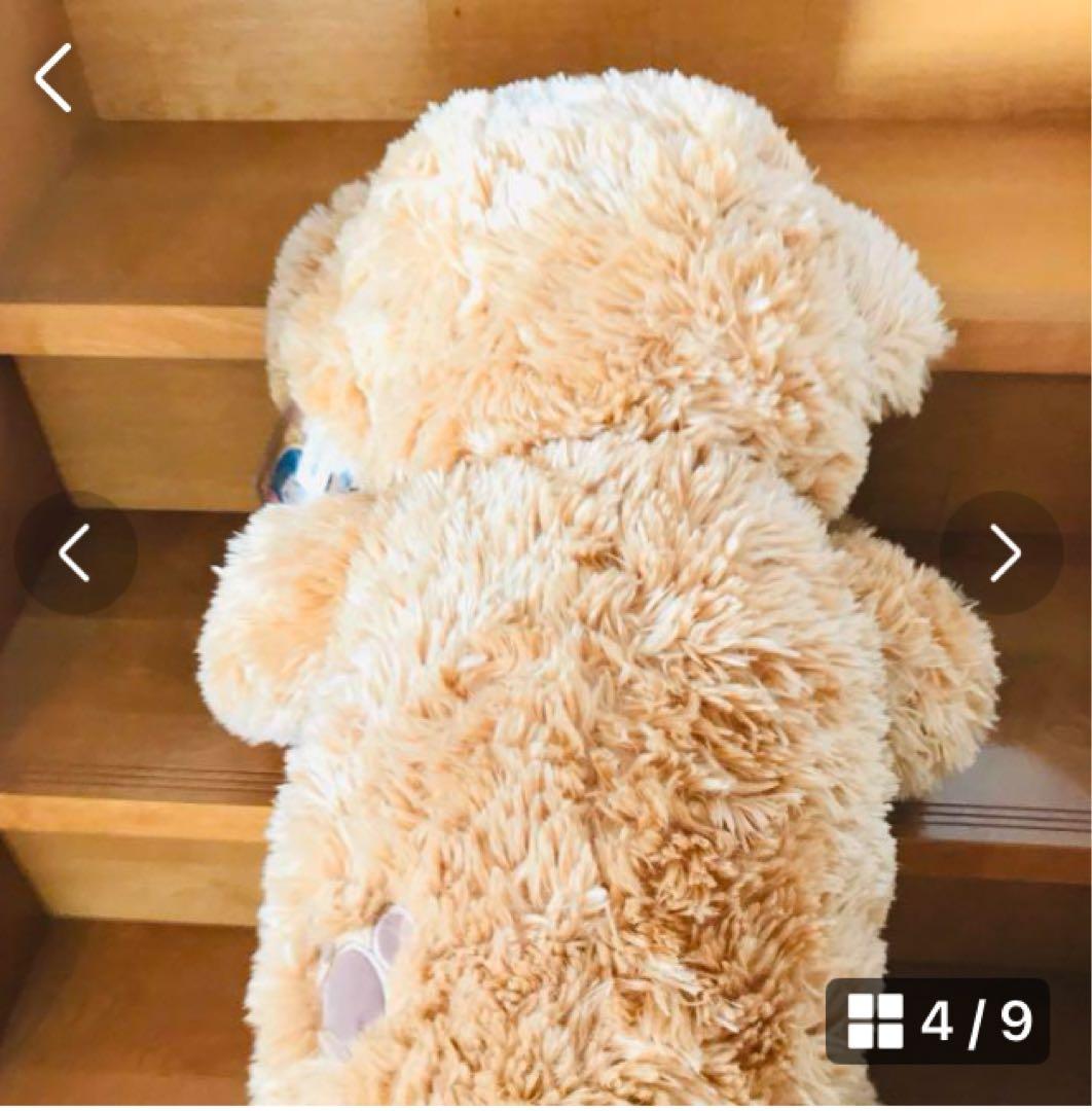 ♡TDSダッフィー　Mサイズのぬいぐるみ　《ハグミー》 2005年　タグ値札付き