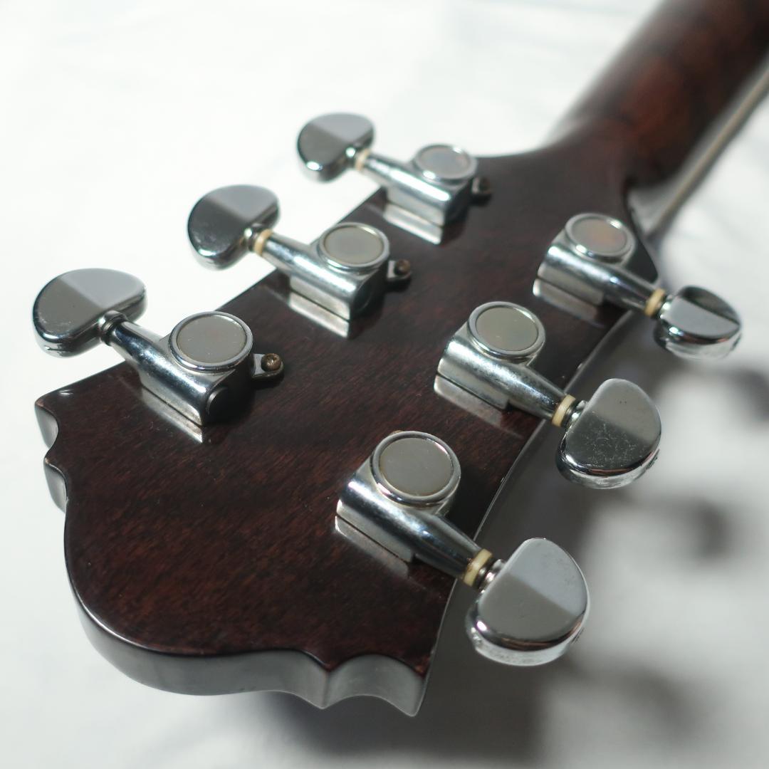 段 弦 Ibanez AEG450TK エレアコ ギター ストラップ＆ケース付