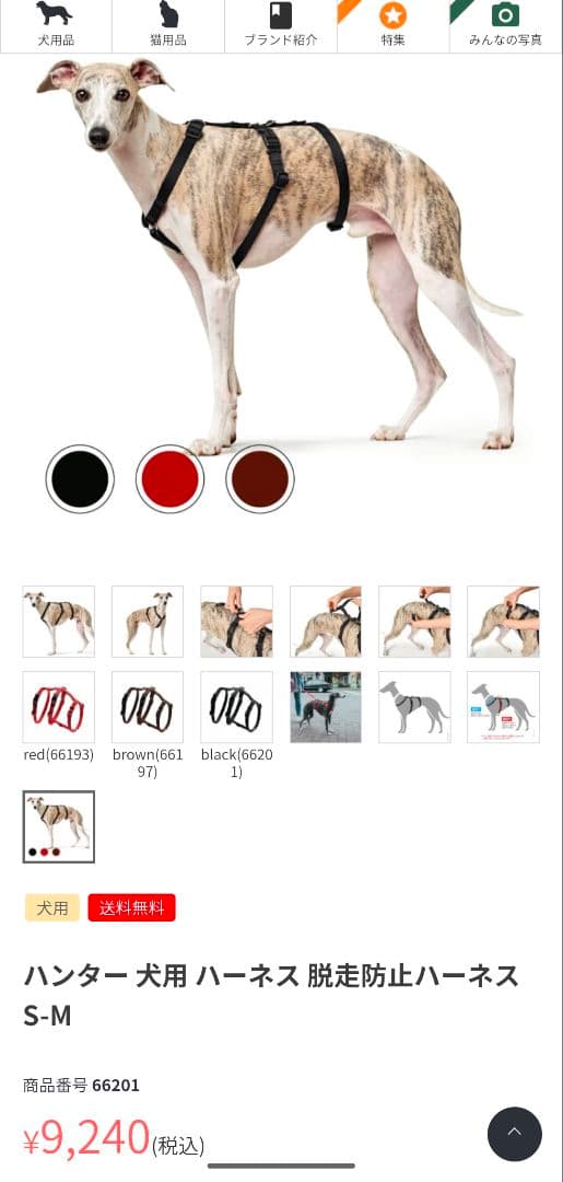【即購入優先】　ハンター 犬 脱走防止 抜けない ハーネス XS-S ブラック