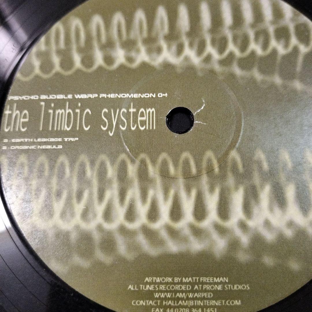 Psycho Audible Warp Phenomeno 12\" 4枚セット