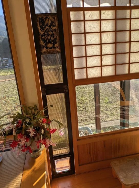 [行って帰る君]　ペットドア ペット スルー新年キャンペーン中