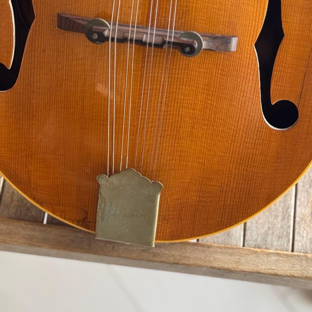 <超貴重特A>GibsonマンドリンA40-N 1940s ~1950s