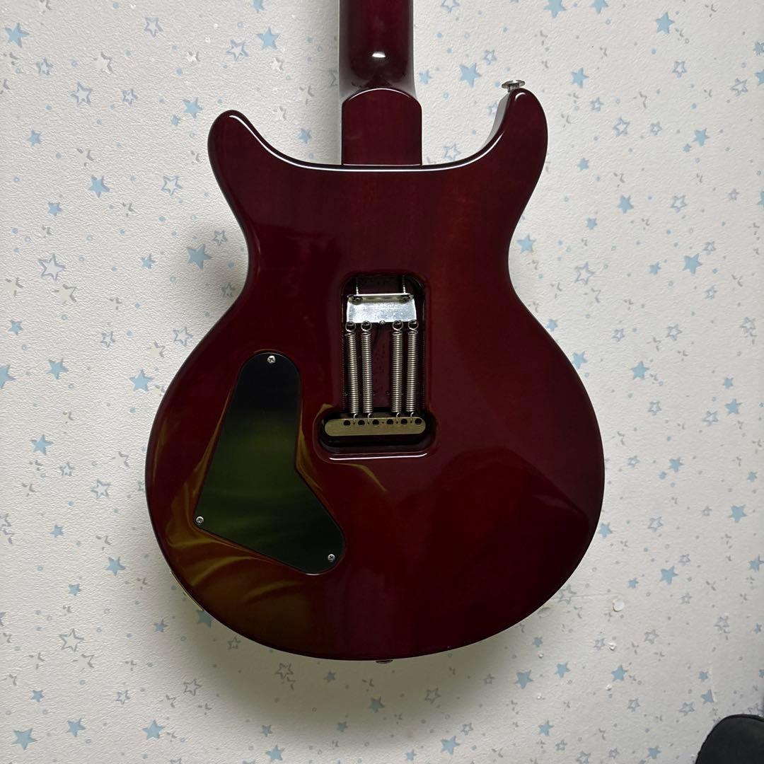 夏休み限定　ポールリードスミス （10Top)Santana Signature