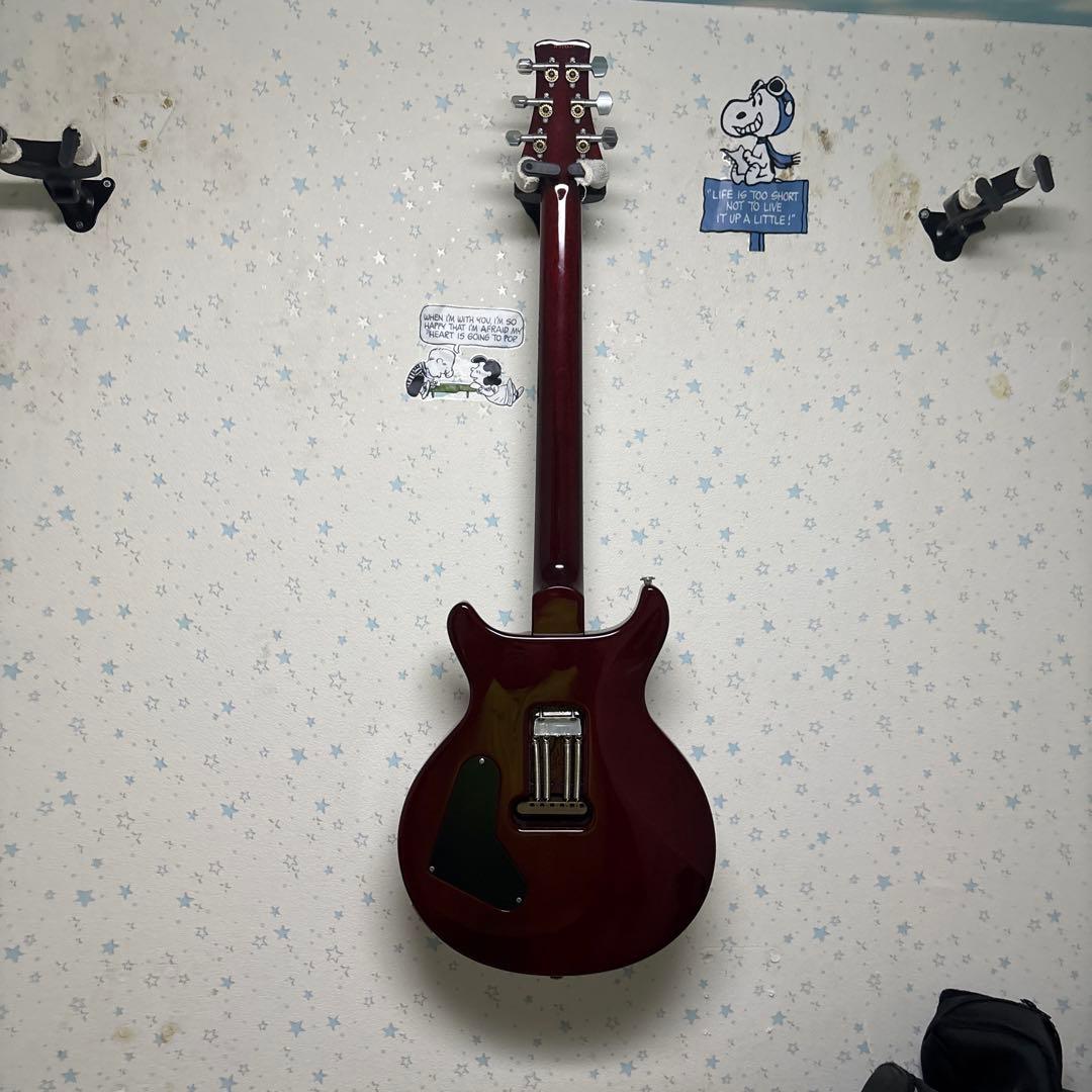 夏休み限定　ポールリードスミス （10Top)Santana Signature