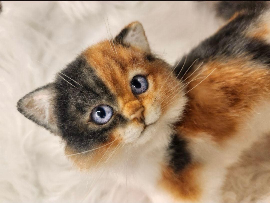 海外作家 猫 三毛猫 子猫ぬいぐるみ アートドール リアル 羊毛フェルト (左)