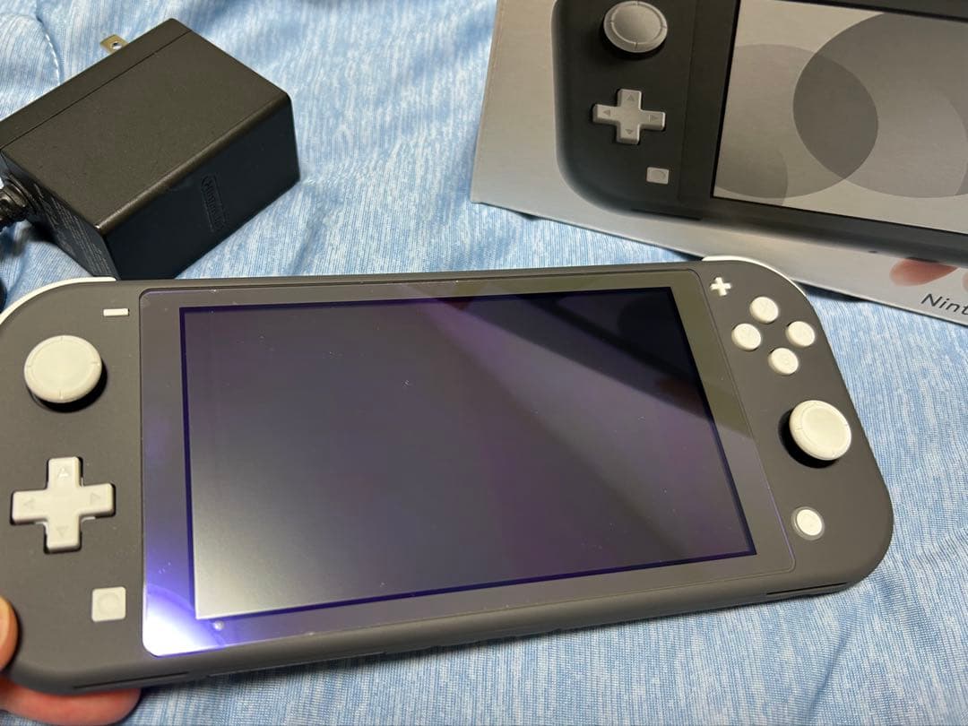 Switchライト グレー 本体