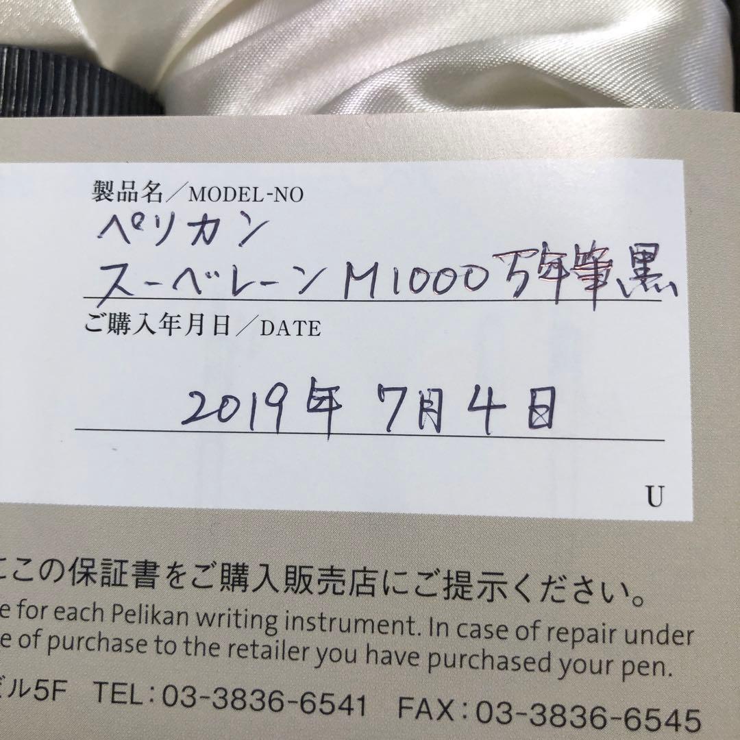Pelikan M1000 万年筆 インクセット
