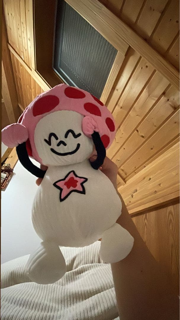 アイドル star team homies network starteam