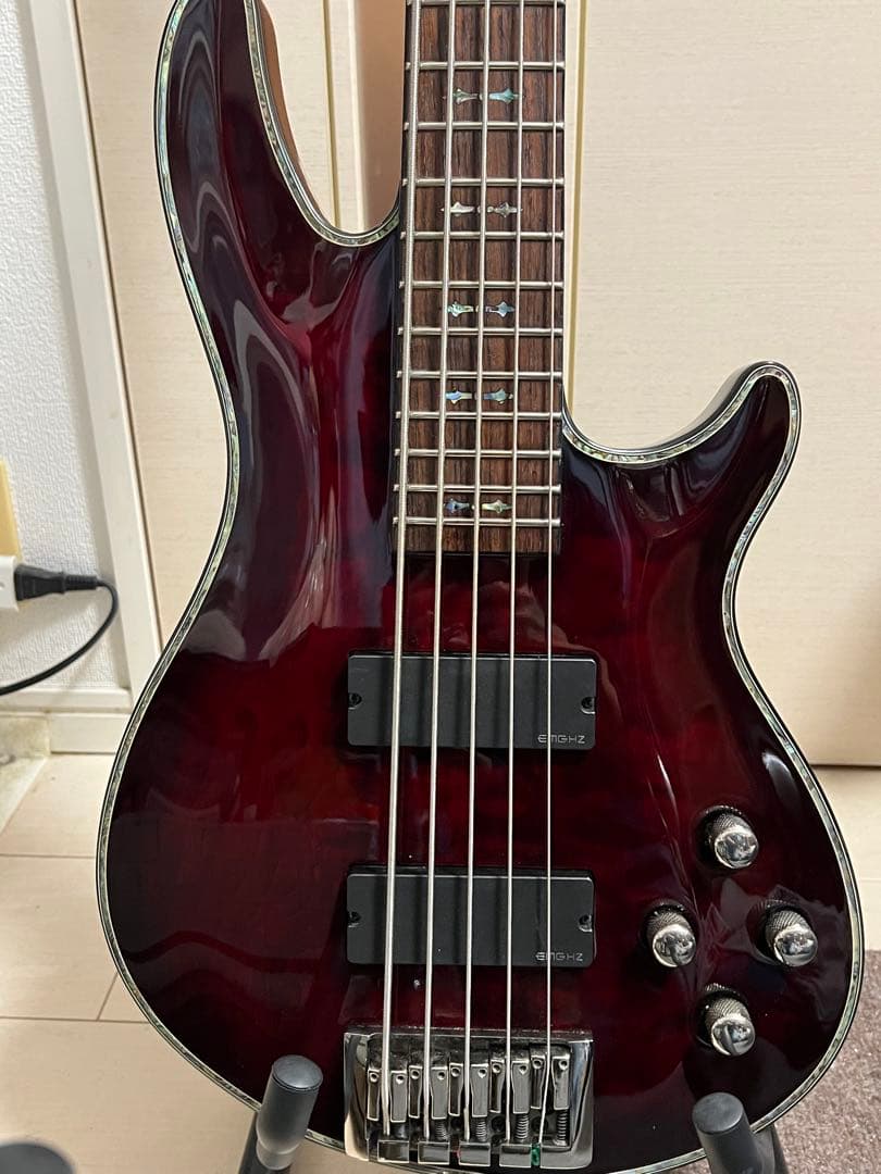 即発送 SCHECTER HELLRAISER-5 5弦ベース 調整済み