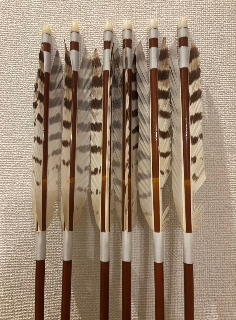 カーボン矢 6本組 雷槌（いかづち）八〇式・竹 白鷹