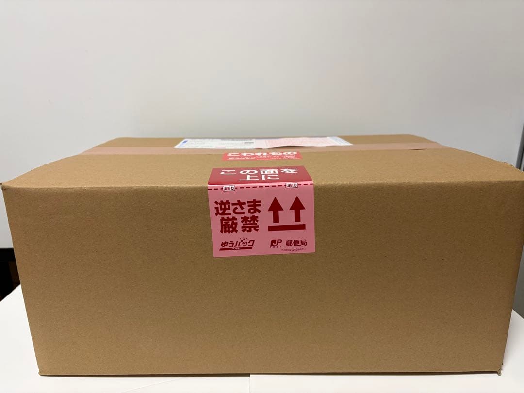 スパイスシード　キン肉スグル 初期顔・新章顔ベルト付きver. レジンキャスト