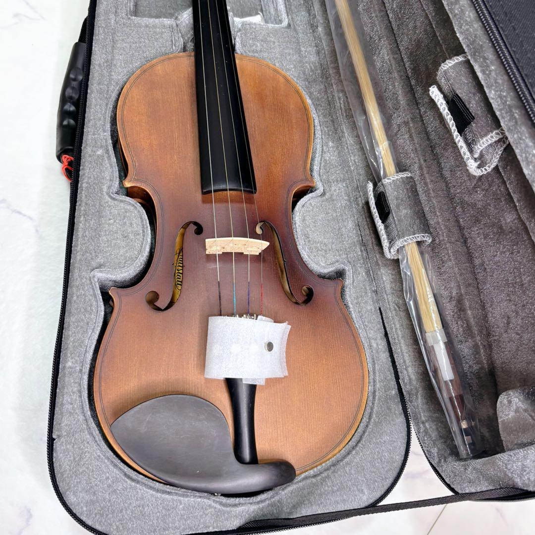 【美品✨】 Hallstatt V-12 バイオリン 4/4 セット 付属品多数