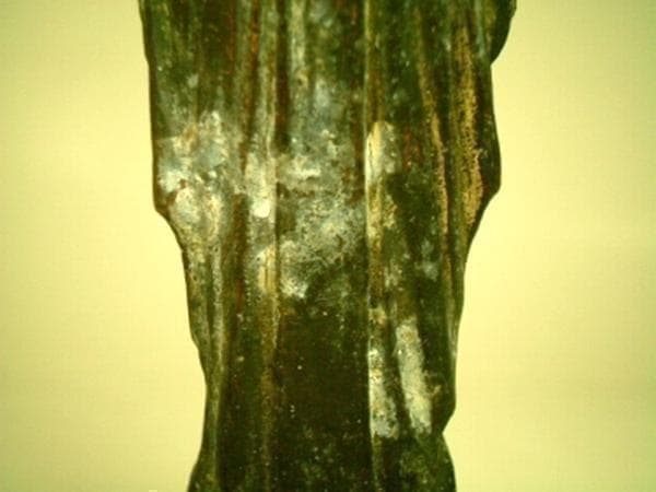 フランス アンティーク ルルドの聖母像 台座教会彫刻 18cm 19世紀頃