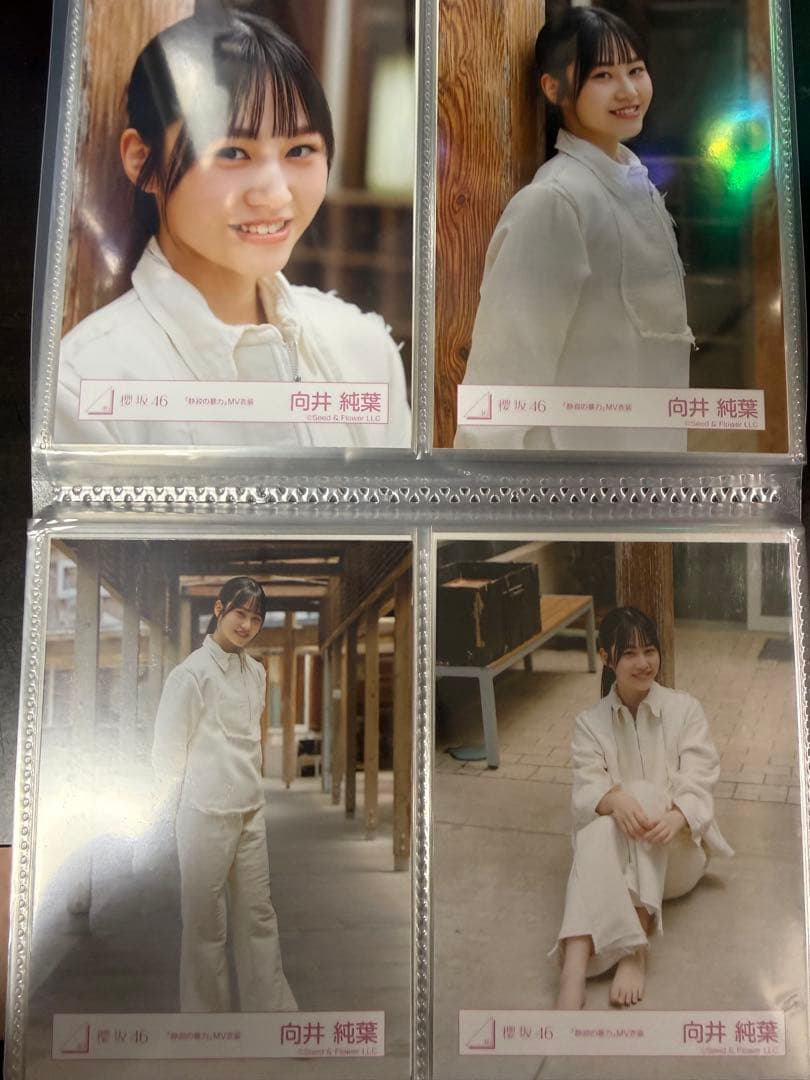 櫻坂46 生写真　静寂の暴力MV衣装フルコンプ