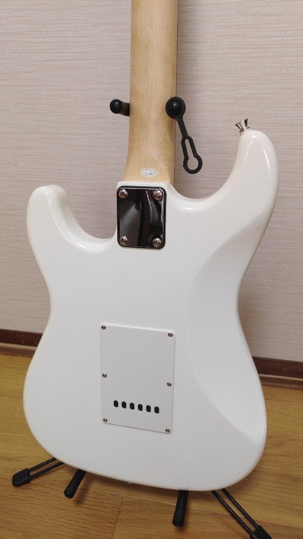 Selder エレキギター (10点セット)