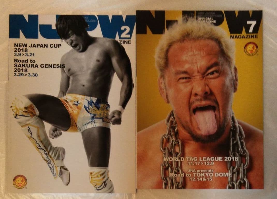新日本プロレス　パンフレット　まとめ売り♫