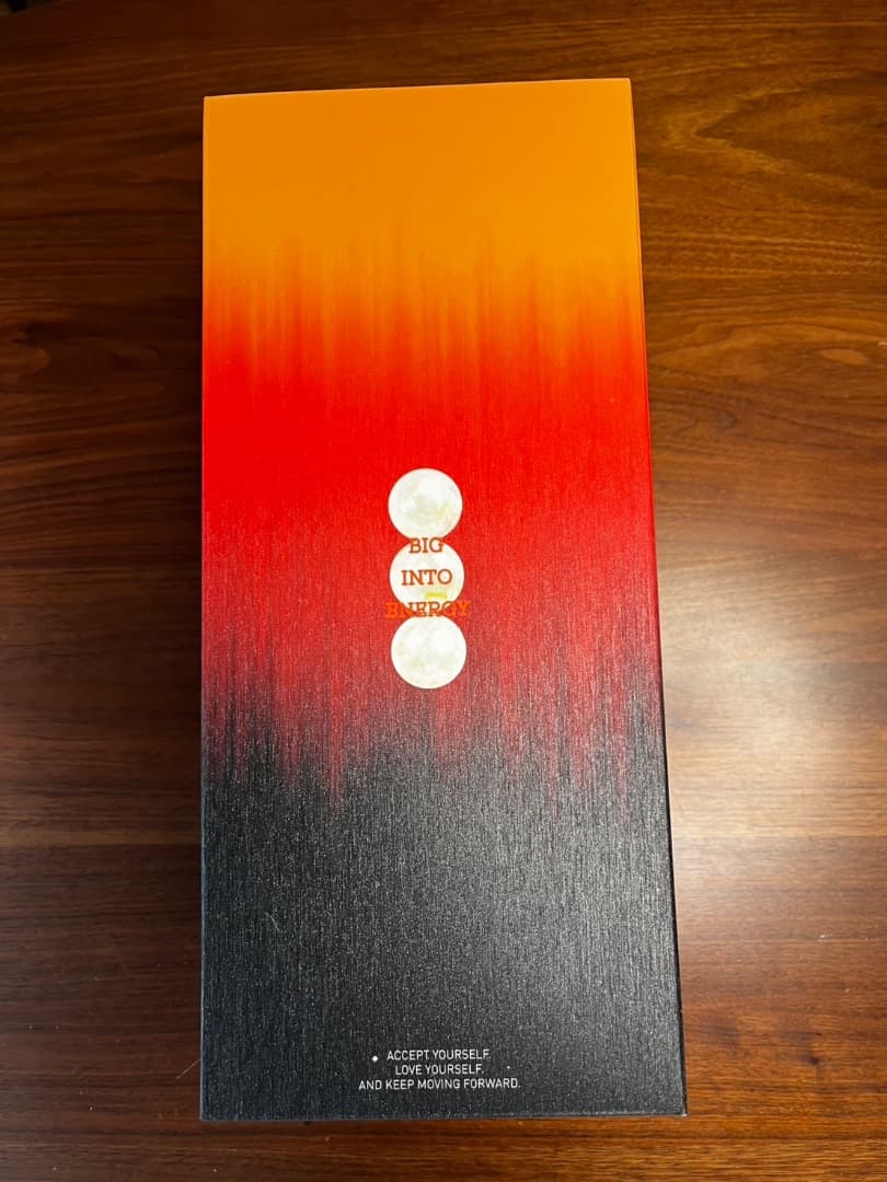 Pop Mart 完全未開封 Labubu Rock The Universe