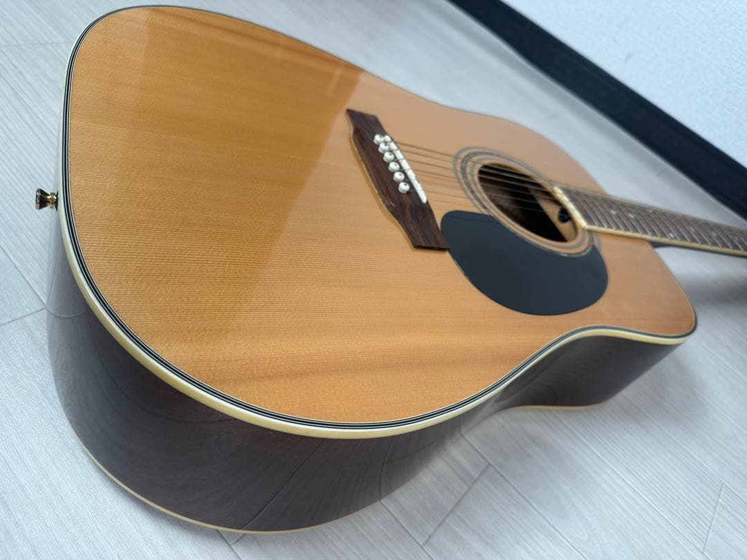 Jay Turser MODEL No. 500 プロ仕様 ※31※