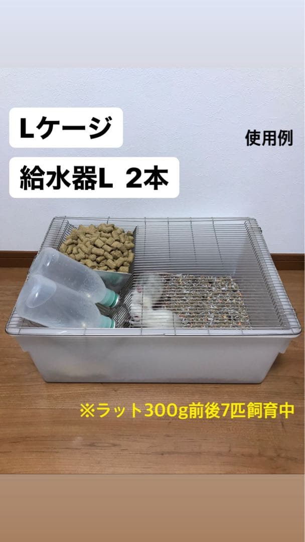 Lケージ マウス・ラット・ハムスター　飼育ケージ