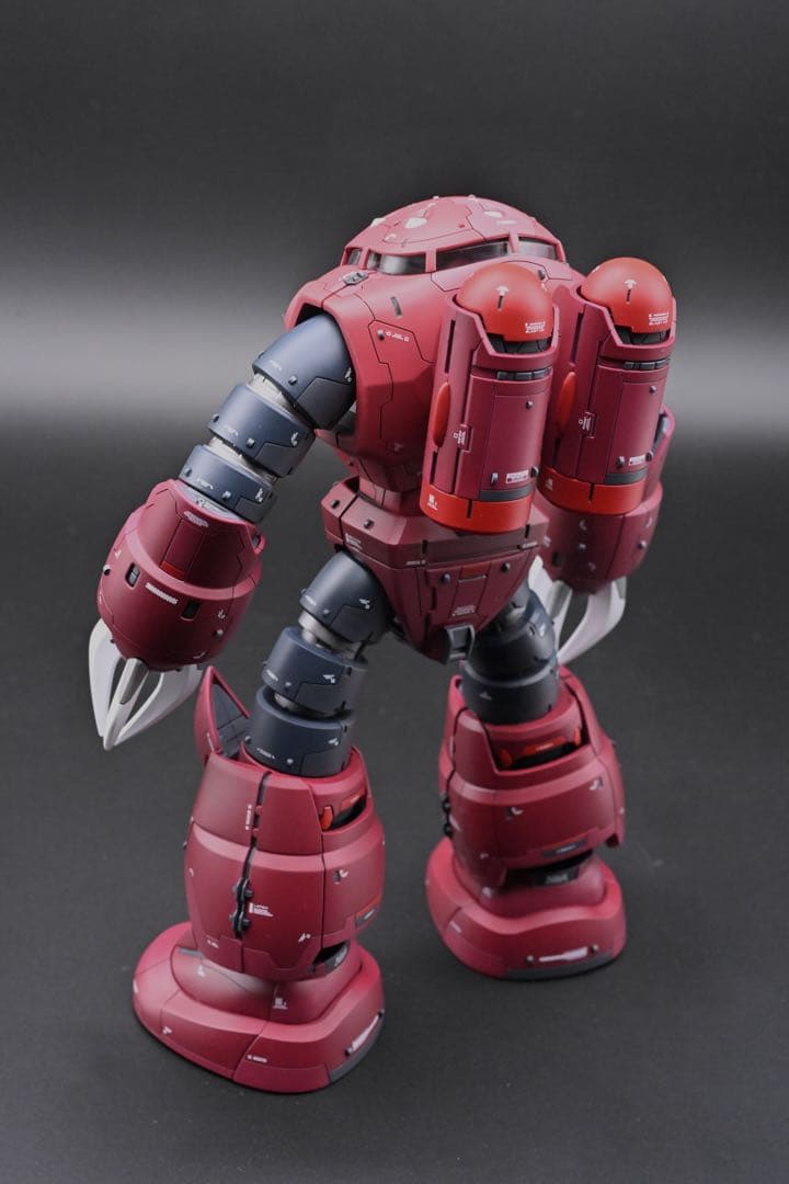 エンチョコちゃんさん専用　MG 1/100 シャア専用ズゴック 塗装完成品