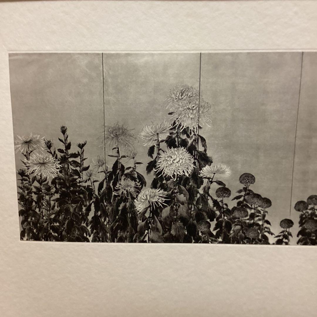 天才画家　速水御舟　作品集大作編　便利堂監修　画集NO 9 【菊花図】
