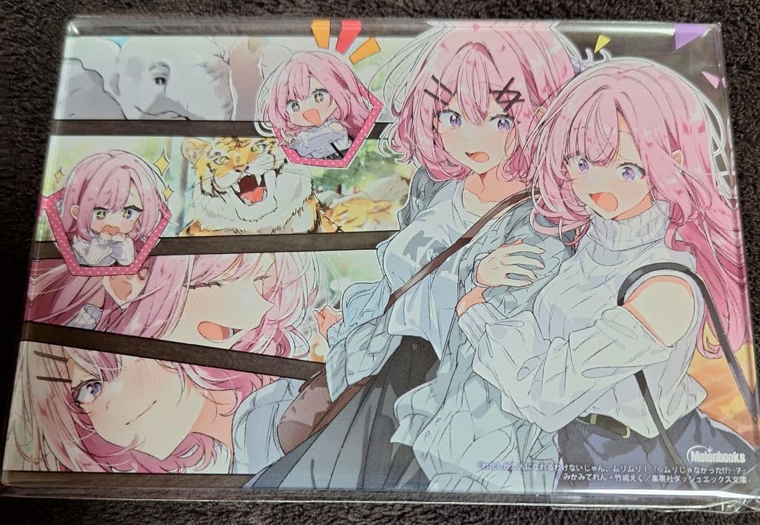 わたしが恋人になれるわけないじゃん、ムリムリ！　アクリルスタンド4点セット　新品