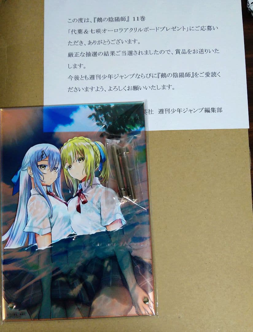 鵺の陰陽師　オーロラアクリルボード