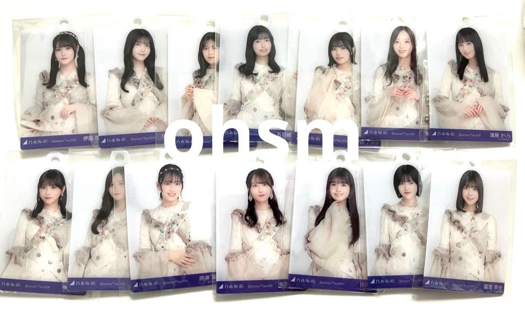 乃木坂46 真夏の全国ツアー　ミニ生写真キーホルダー　2024 ランダムグッズ