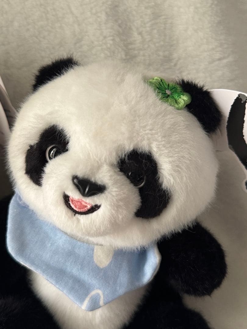 中国 パンダ ぬいぐるみ 2体セット 和花 和葉