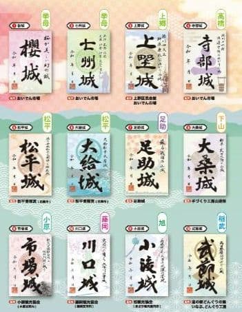 豊田市 限定版 御城印 プロジェクト第５弾・第４弾 14枚コンプリートセット