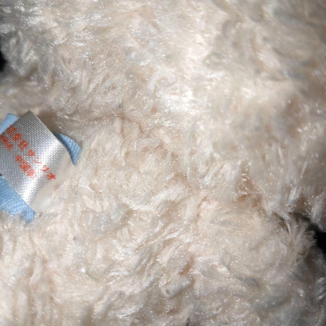 サンリオ シュガーバニーズ はなうさ ぬいぐるみ