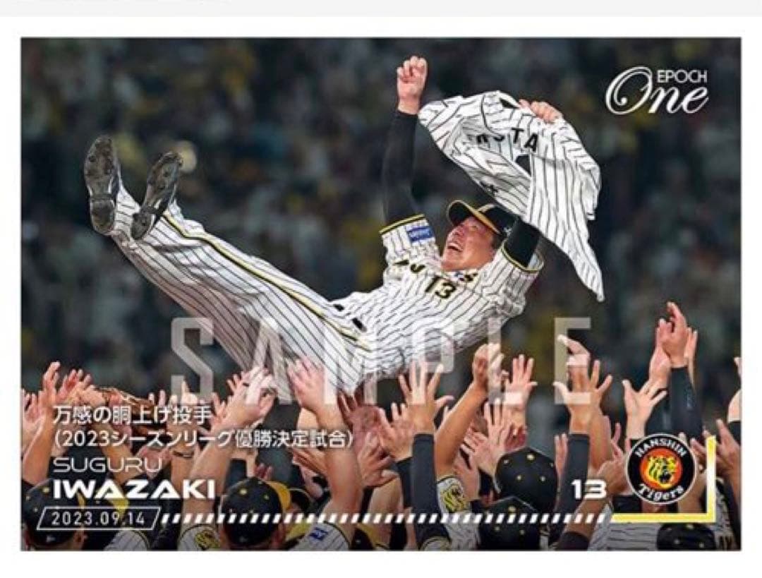 「9枚フルコンプセット」阪神タイガース リーグ優勝決定試合 記念（23.9.14