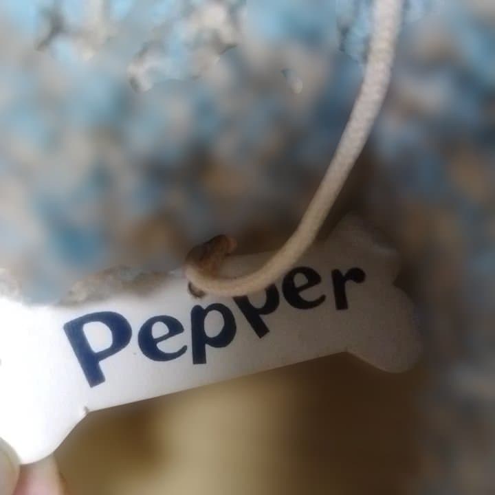 ★レトロ★ナカジマスクラッチ　スパイスミックス　イヌのぬいぐるみ　初期物