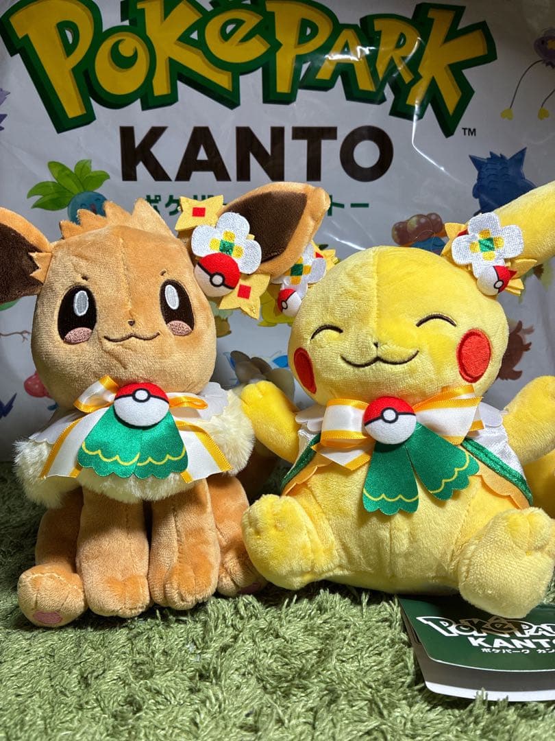 ポケパーク ピカチュウ イーブイ ぬいぐるみセット