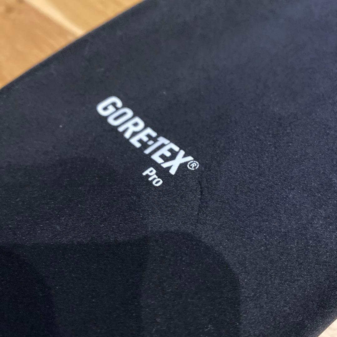 スキー THE NORTH FACE GORE-TEX pro
