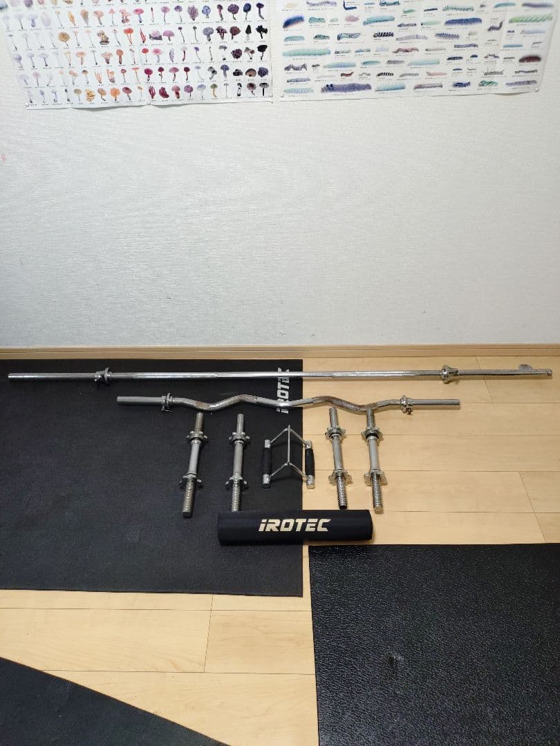 IROTEC アイロテック　ダンベルプレート　シャフト　ベンチ　一式